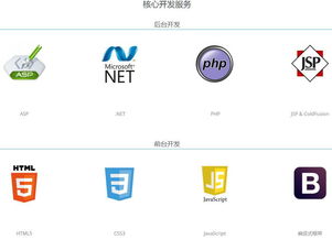 多用户商城系统php asp .net jsp哪个好